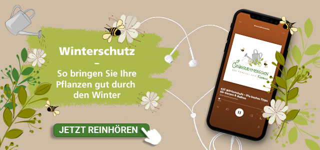 Podcast: folge Winterschutz