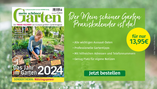 Mein schöner-Garten-Shop Angebot