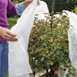 Garten winterfest machen: 5 Profi-Tipps 