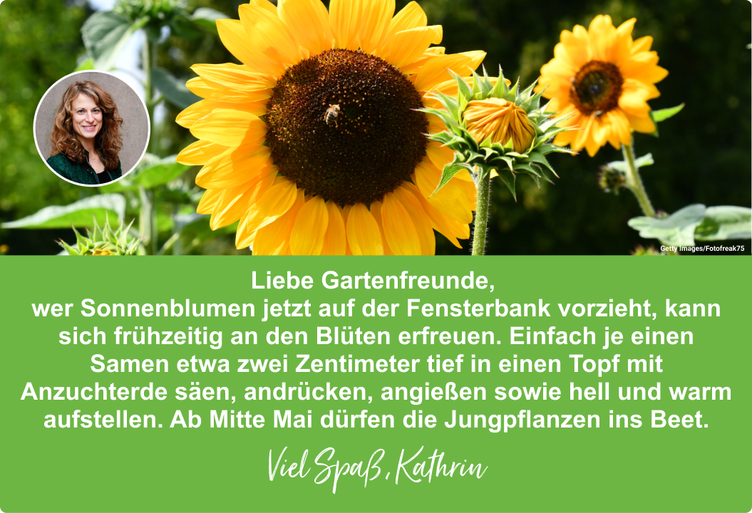 Expertentipp