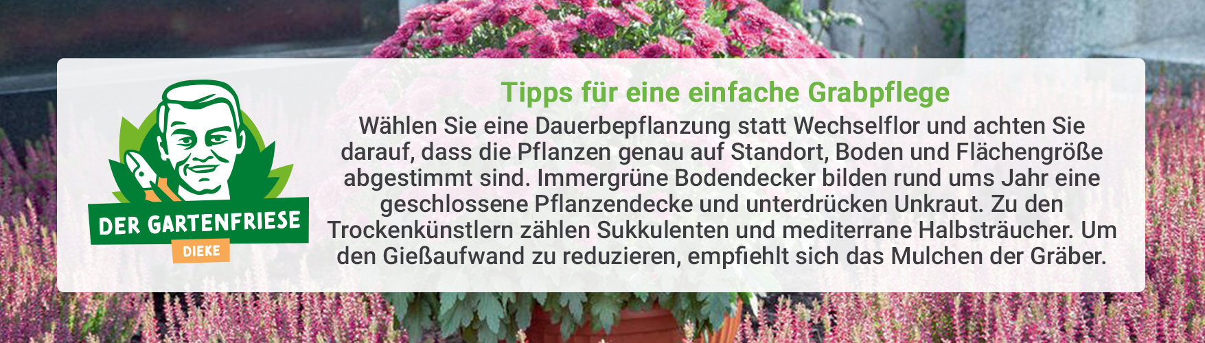 Tipp: Grabpflege