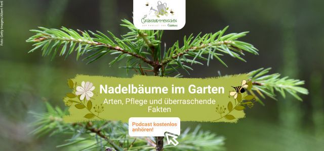 Podcast Grünstadtmenschen 