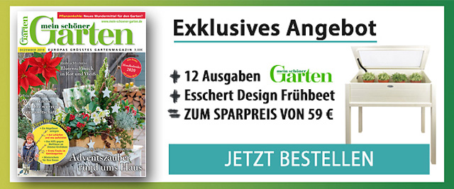 Abo-Angebot Mein schöner Garten