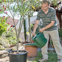 Gartentipps für Terrasse und Balkon im August 