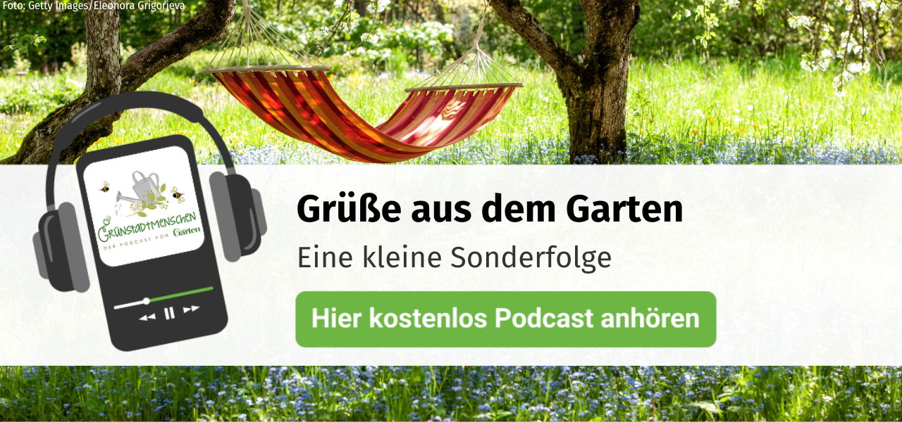 Podcast Grünstadtmenschen