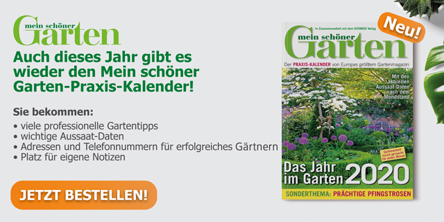 Mein schöner Garten Praxis-Kalender 2020