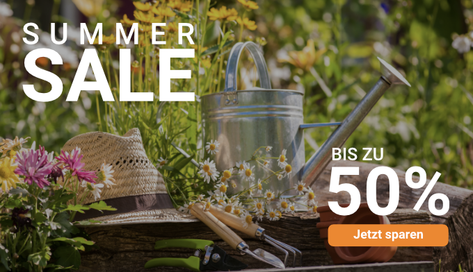 Summer-Sale