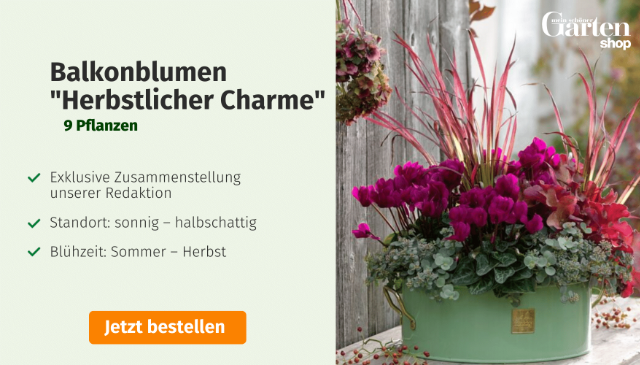 Mein schöner Garten Shop-Angebot