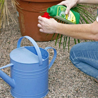 Gartentipps für Terrasse und Balkon im Juli