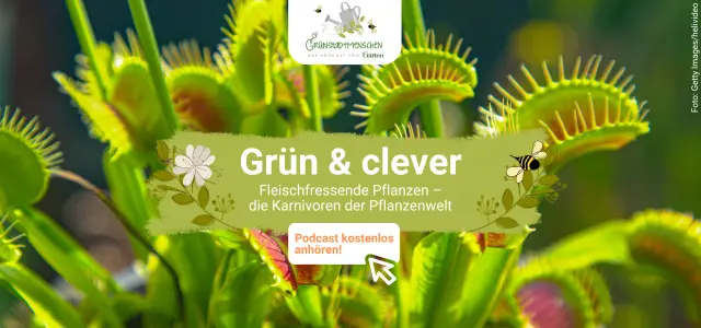 Podcast Grünstadtmenschen 