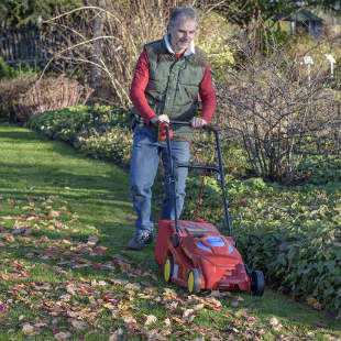 Tipps für die Rasenpflege im Herbst