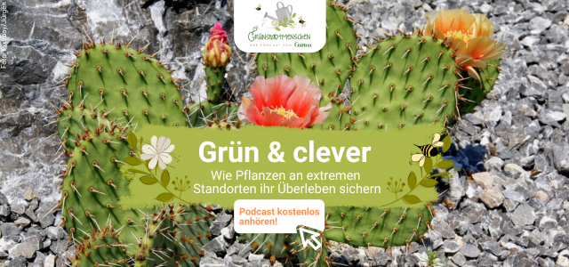 Podcast Grünstadtmenschen