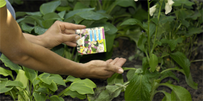 Das sind die wichtigsten Gartenarbeiten im Sommer 