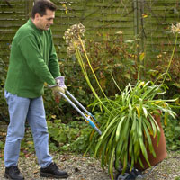 Gartentipps für Balkon und Terrasse im November