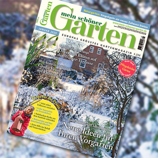 Januar-Ausgabe 2020 von MEIN SCHÖNER GARTEN