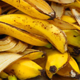 Profi-Tipp: Bananenschalen als Dünger verwenden