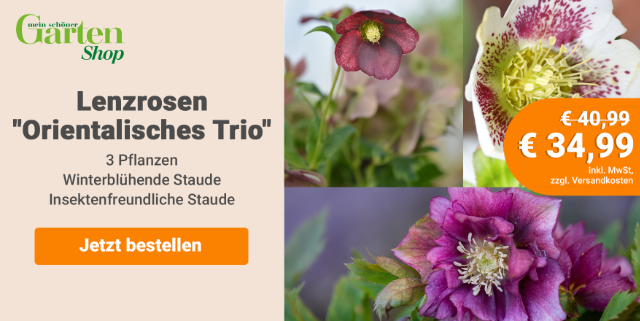 Shop-Angebot Mein schöner Garten