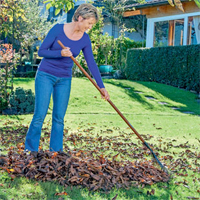 Gartentipps für den Ziergarten im November