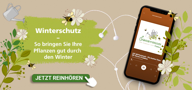 Podcast Winterschutz