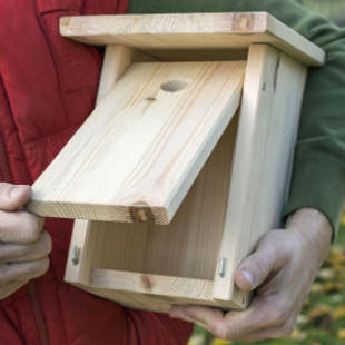 Nistkasten