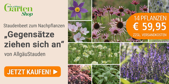 Shop-Angebot Mein schöner Garten