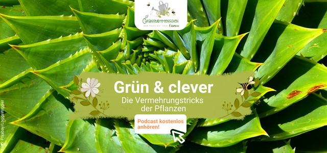 Podcast Grünstadtmenschen: