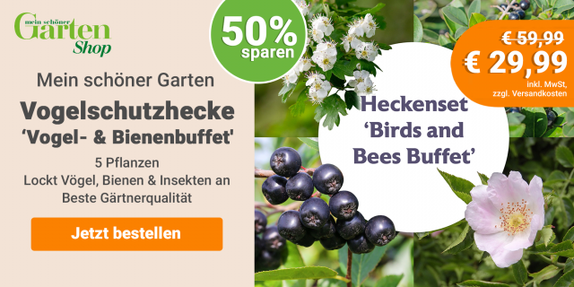 Deal: Vogelschutzhecke