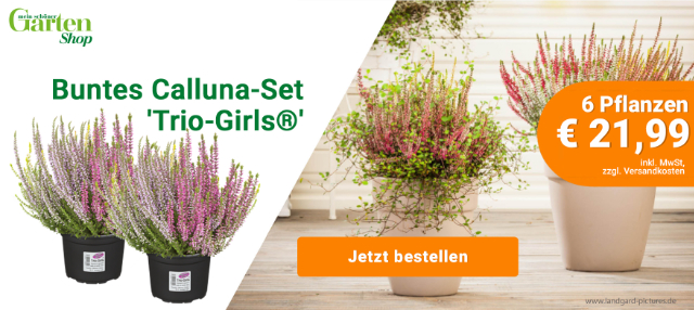 Shop-Angebot Mein schöner Garten