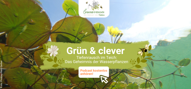 Podcast Grünstadtmenschen: Grün&Clever