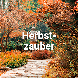 Kategorie: Herbstzauber