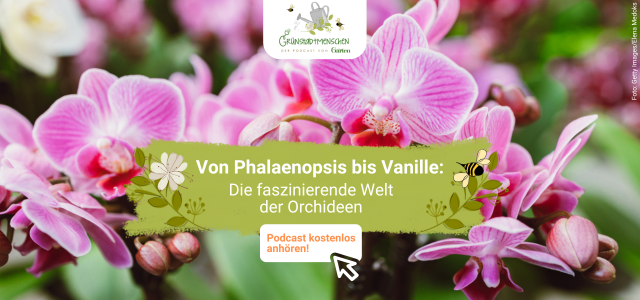 Podcast Grünstadtmenschen 