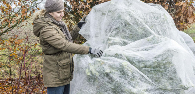 Die 3 wichtigsten Gartenarbeiten im Dezember