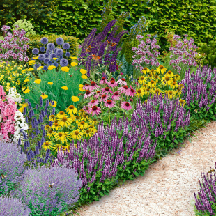 Mein schöner Garten Bienenfreundliches Gartenbeet "Nektar-Oase", 21 Pflanzen