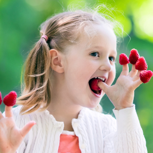 Himbeeren pflegen: 3 Profi-Tipps für reiche Ernten 