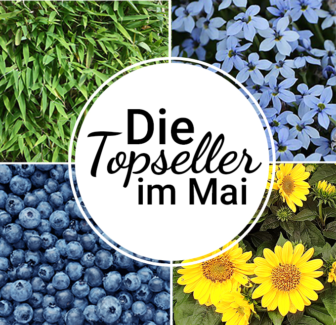 mein schöner Garten Shop