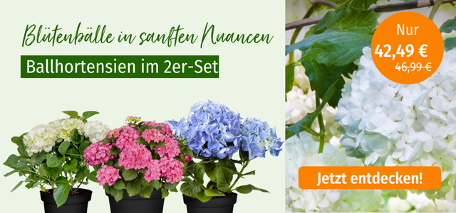 Mein schöner Garten-Shop Angebot