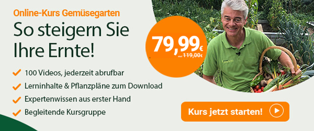 Online-Kurs Gemüsegarten