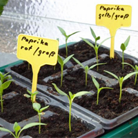 Nutzgartentipps Januar