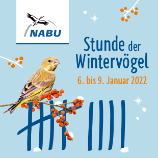 Die Stunde der Wintervögel vom 6. bis 9. Januar