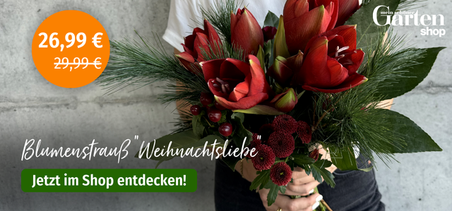 Mein schöner Garten-Shop Aktion