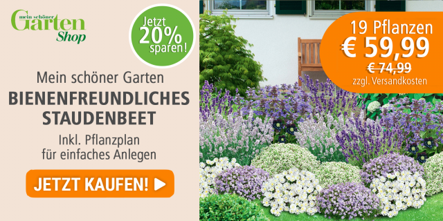 Mein schöner Garten bienenfreundliches Staudenbeet 19 Pflanzen für 59,99 €