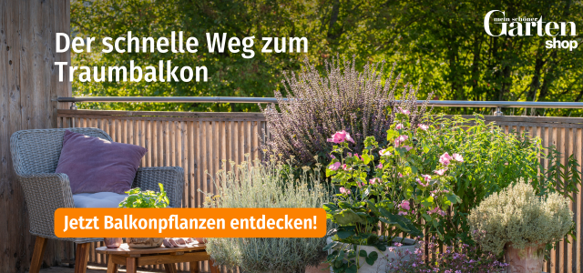 Mein schöner Garten-Shop Aktion