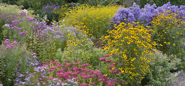 So bereiten Sie Ihren Garten auf trockene Sommer vor