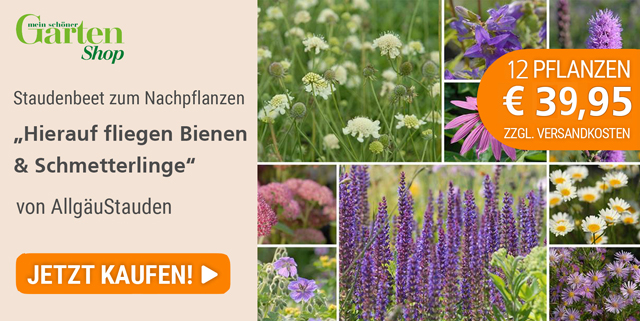 Shop-Angebot Mein schöner Garten