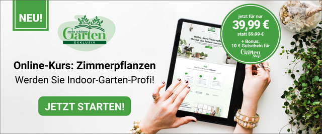 Mein schöner Garten Online-Kurs Zimmerpfanzen